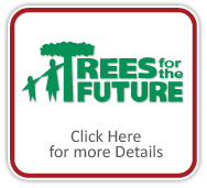 Trees for the Future, Click here for more details